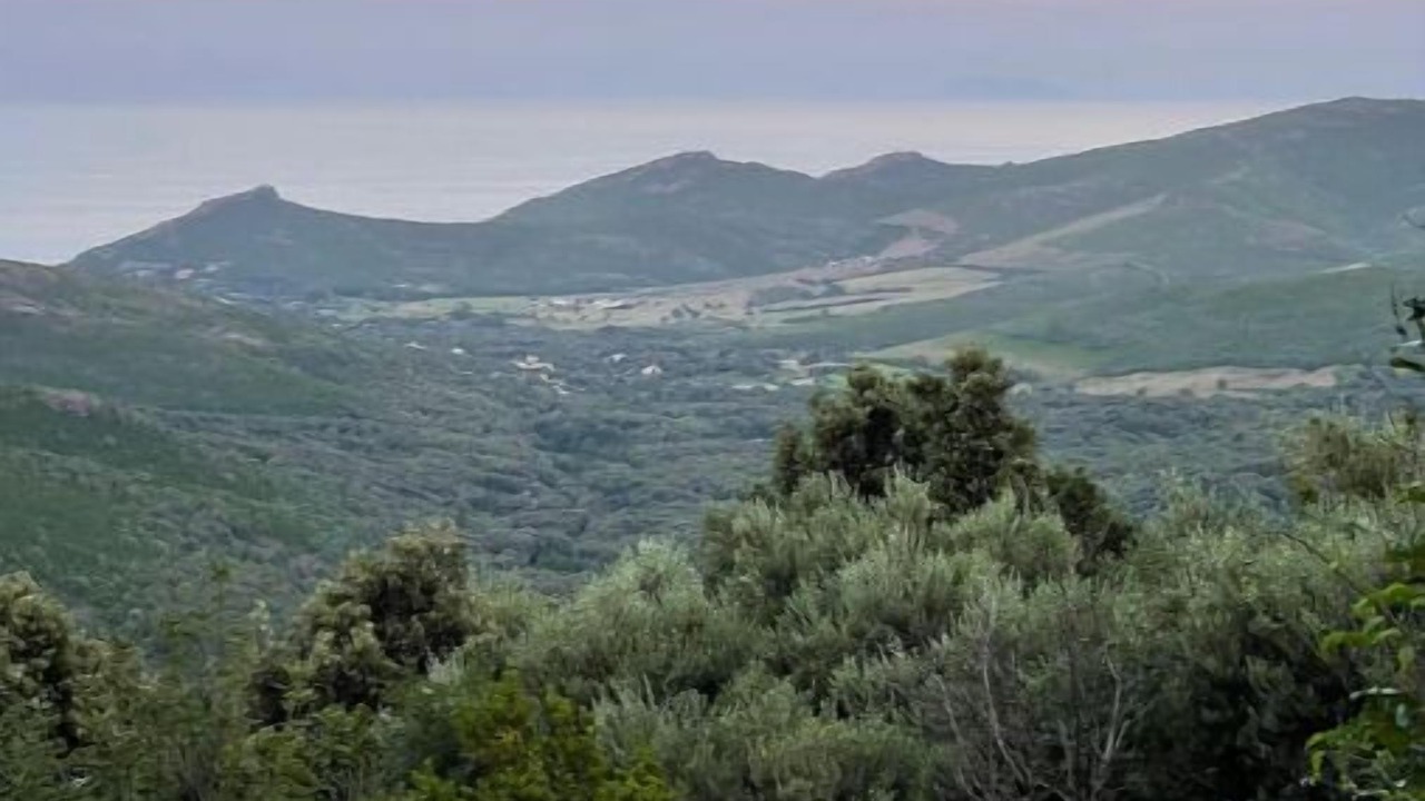 Photo of Others in Pietracorbara