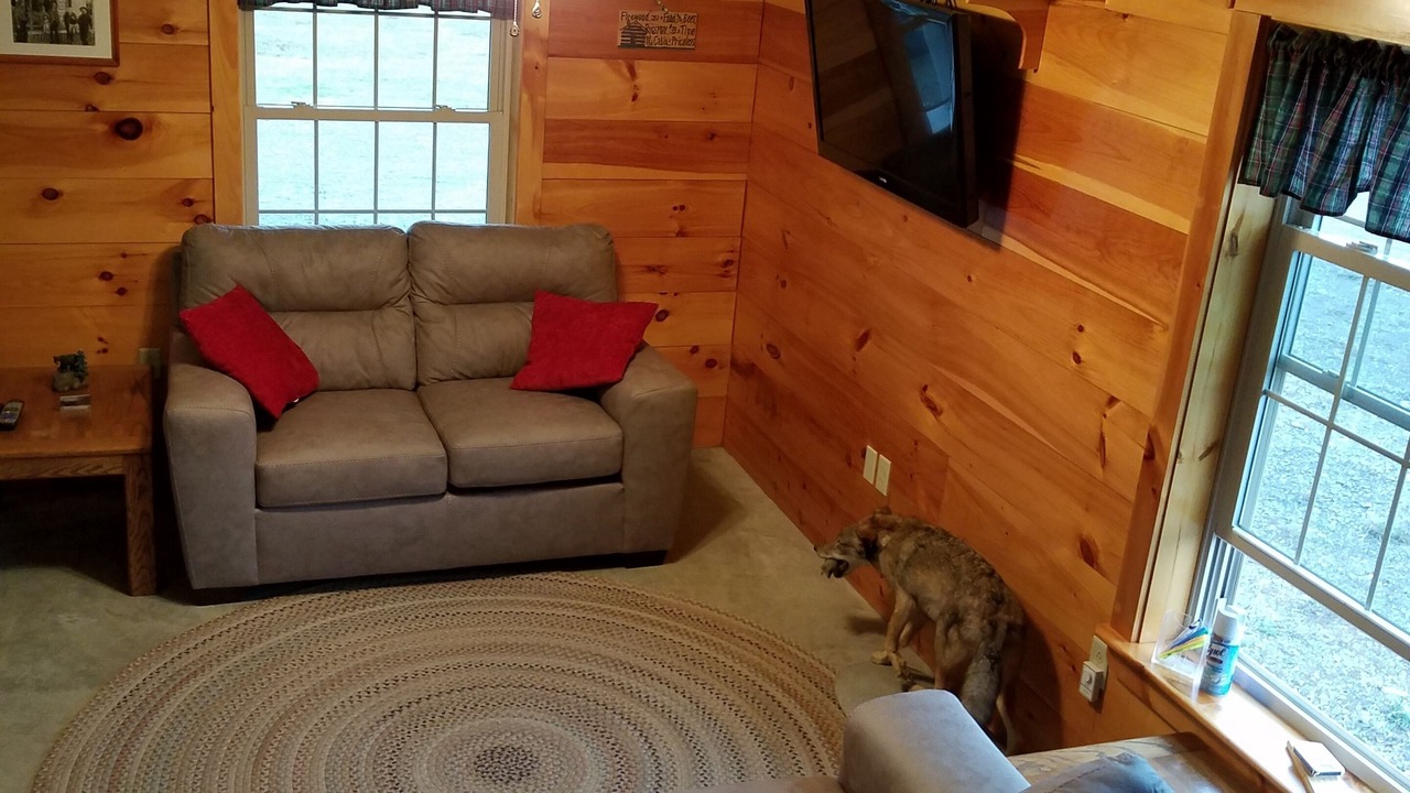 Photo of Livingroom in Waterville