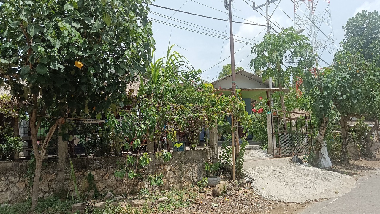 Photo of Others in Lombok