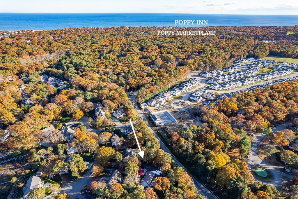 Photo of Outdoor in Summersea