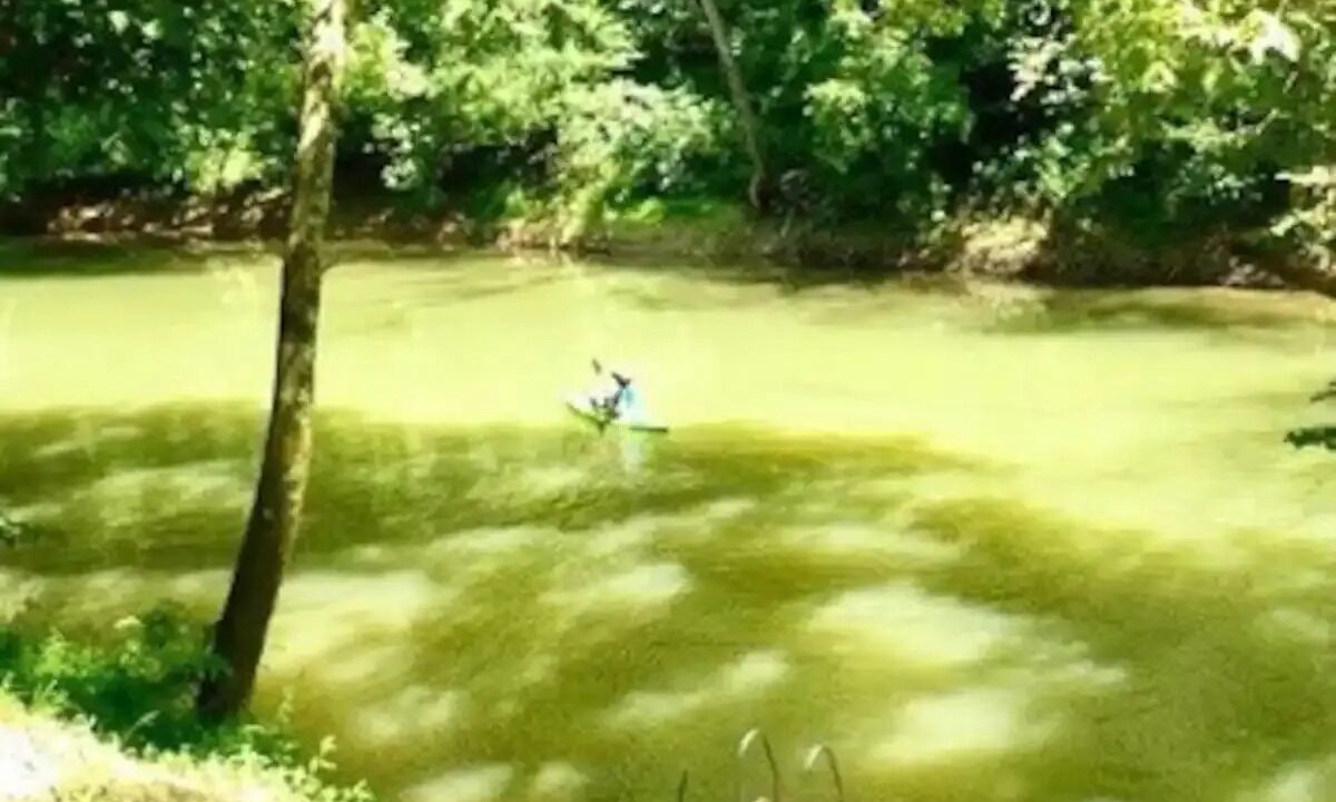 Photo of Others in Dabolt