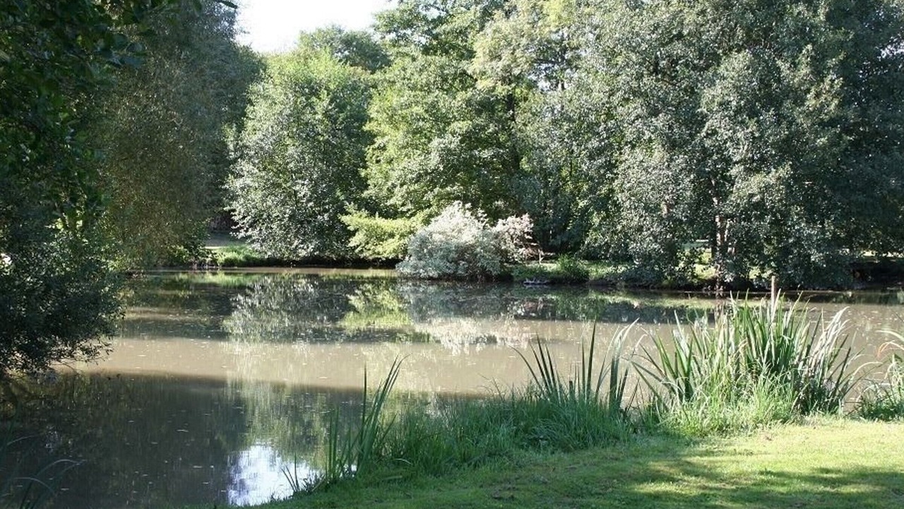 Photo of Outdoor in Faverelles