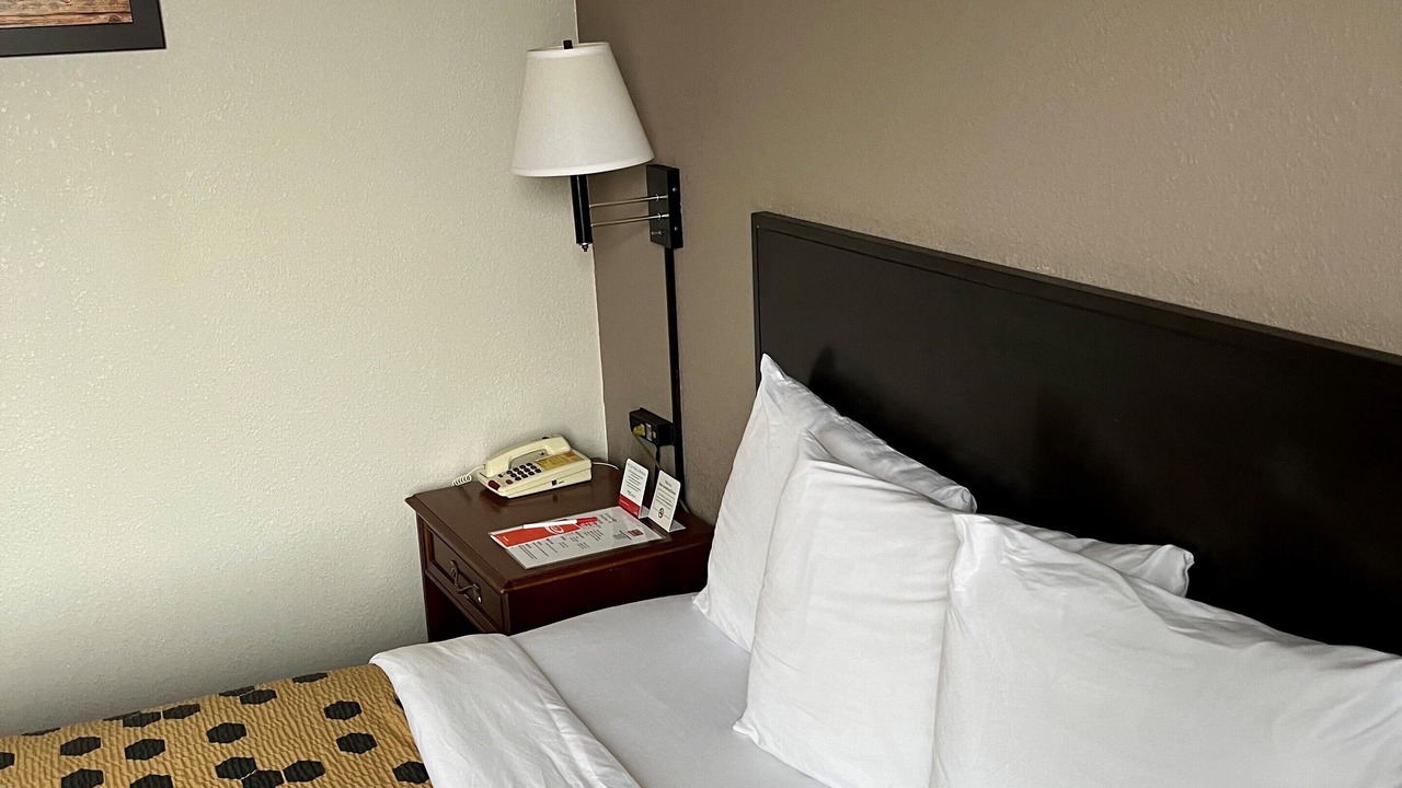 Photo of Others in Dumfries