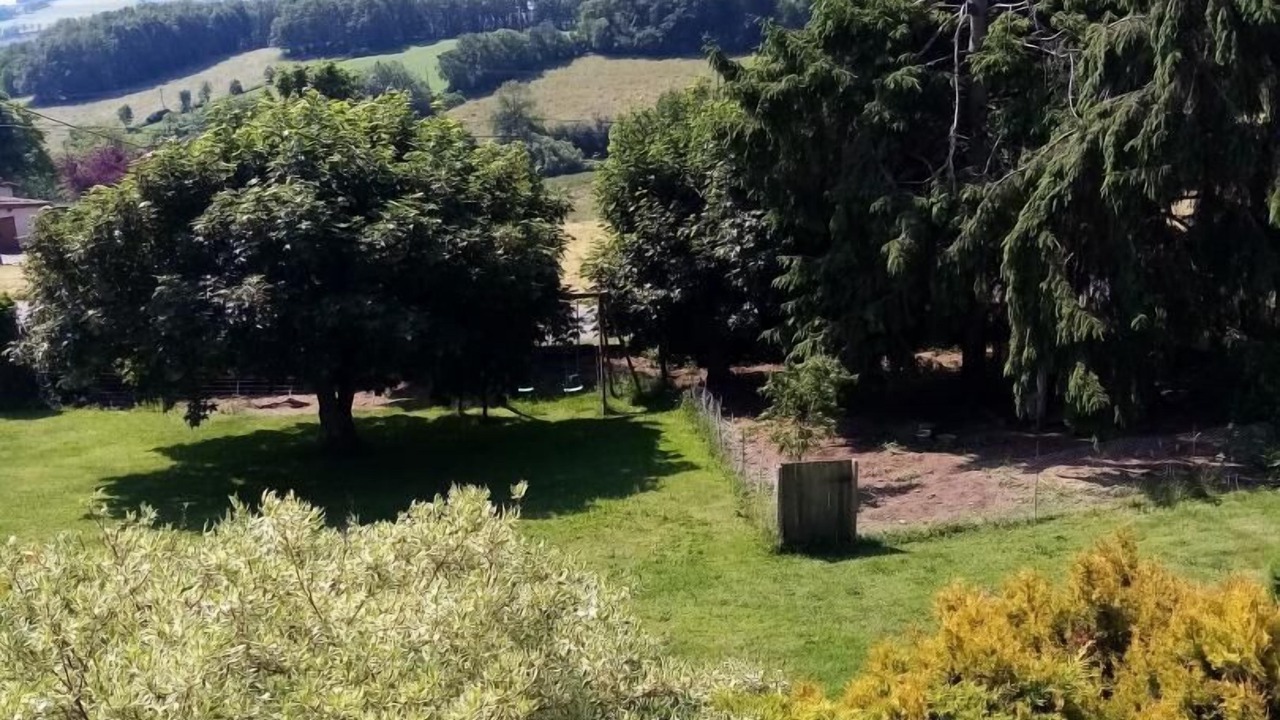 Photo of Others in Larajasse