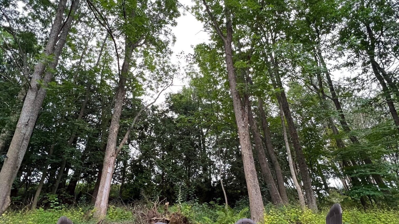 Photo of Others in Georgian Bluffs
