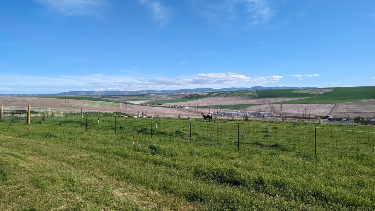 Photo of Bedroom in Lewiston