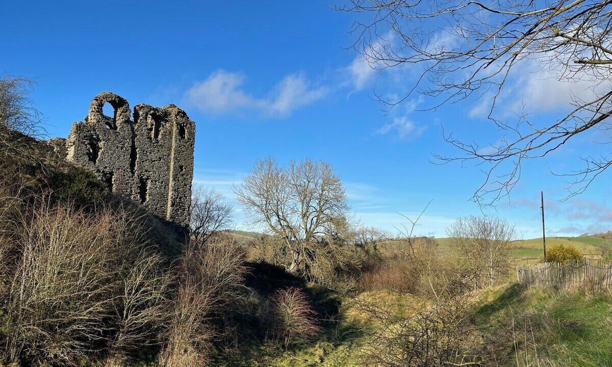 Photo of Others in Clun