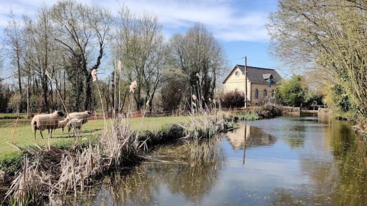 Photo of Others in Marigne-Peuton