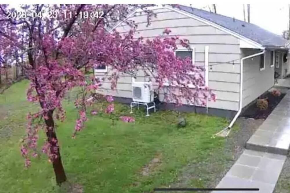 Photo of Others in Saugerties