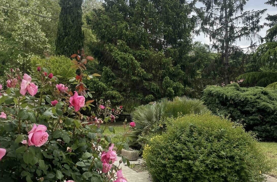 Photo of Outdoor in Cravant-les-Coteaux