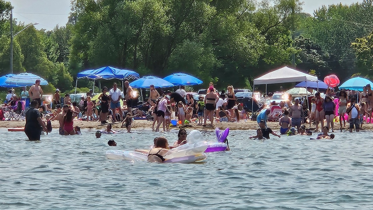 Photo of Others in Alcona