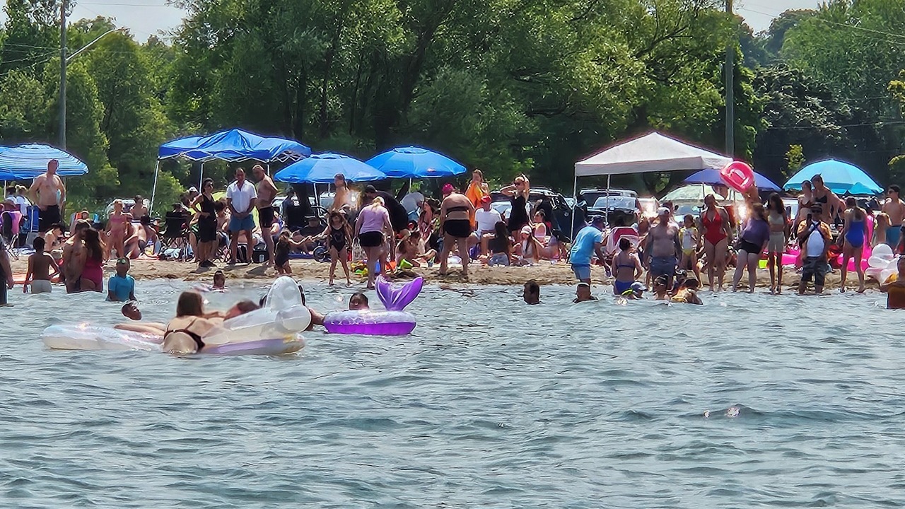 Photo of Others in Alcona