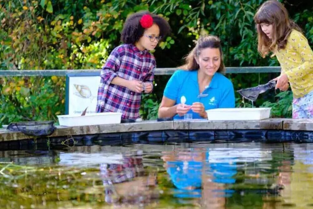 Photo of Others in Peterlee