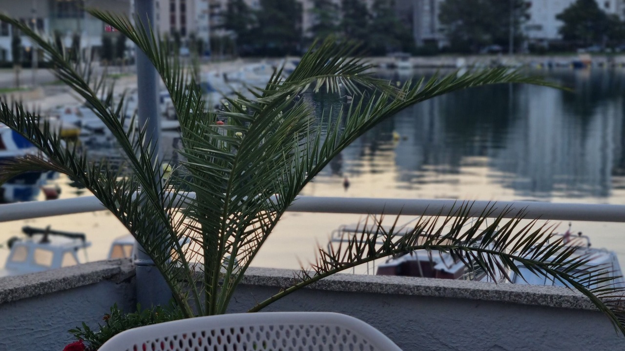 Photo of Patio Balcony in Ploce