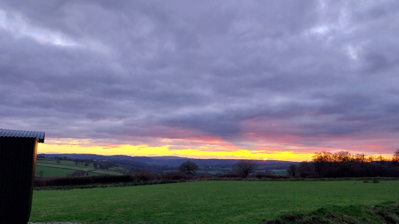 Photo of Others in Pentrefelin