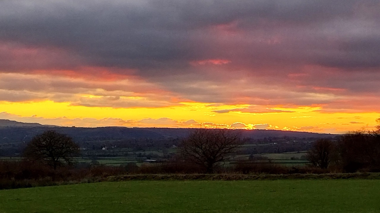 Photo of Others in Pentrefelin