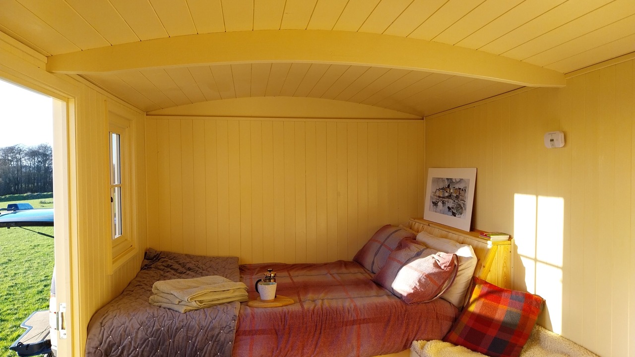 Photo of Others in Pentrefelin