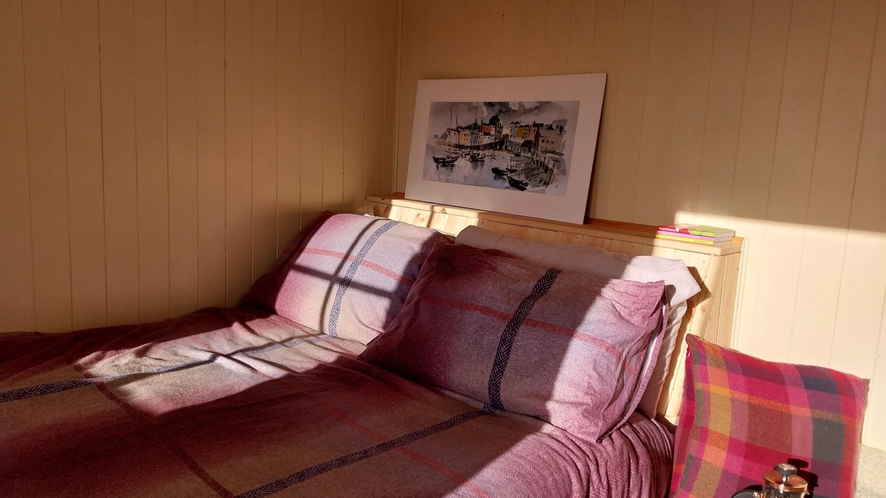 Photo of Others in Pentrefelin