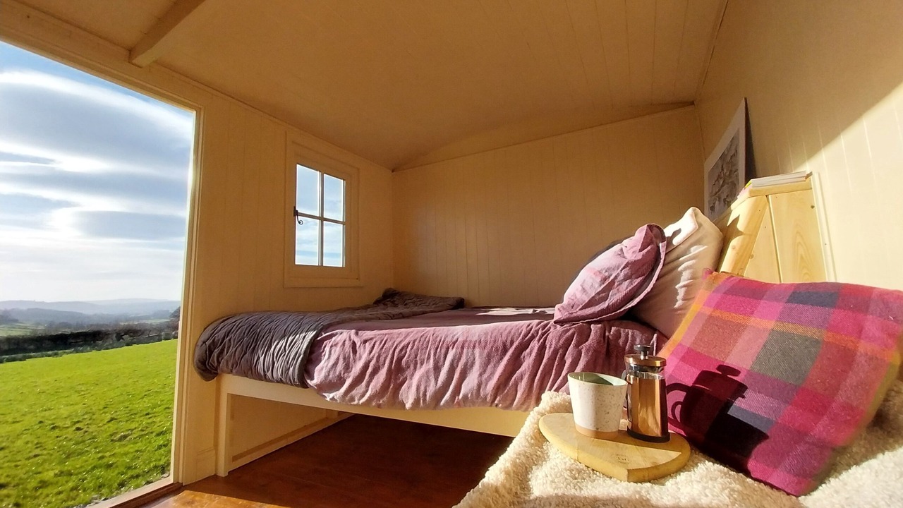 Photo of Others in Pentrefelin