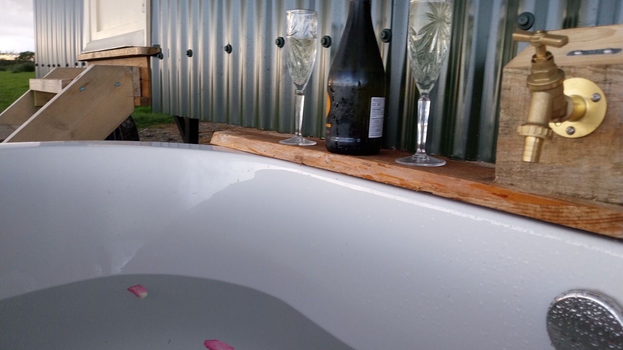 Photo of Others in Pentrefelin