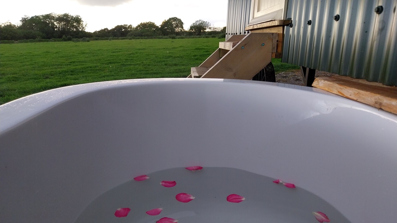 Photo of Outdoor in Pentrefelin