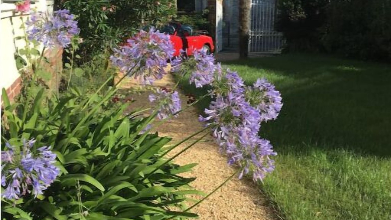 Photo of Outdoor in Loire-Atlantique