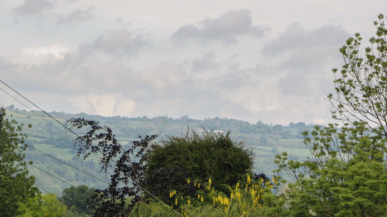 Photo of Others in Hay on Wye