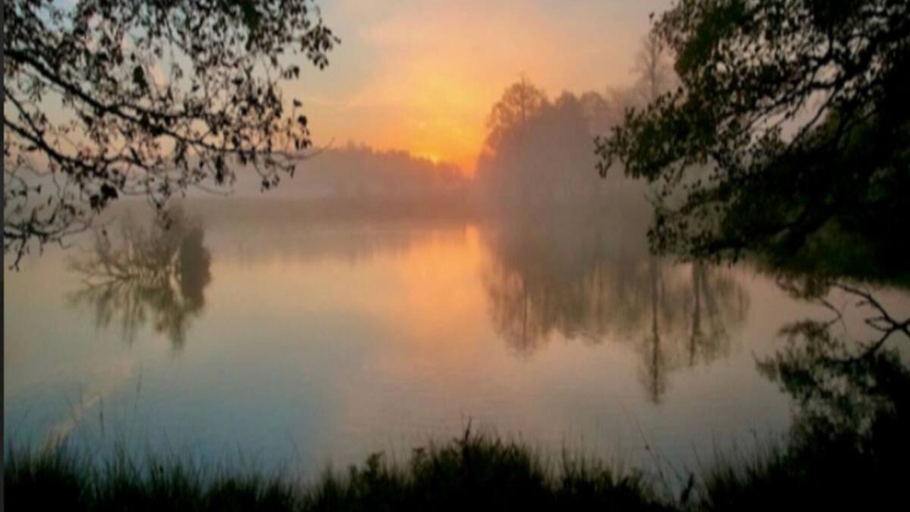 Photo of Outdoor in Hampton Wick