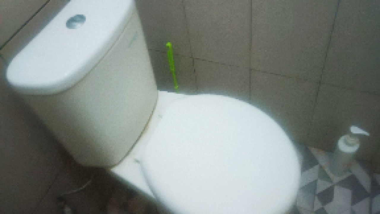 Photo of Bathroom in Pelangan