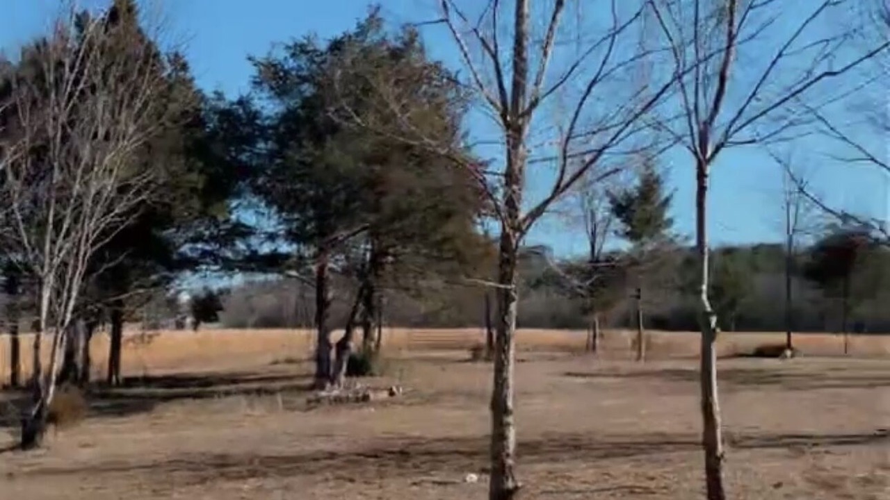 Photo of Others in Morrilton
