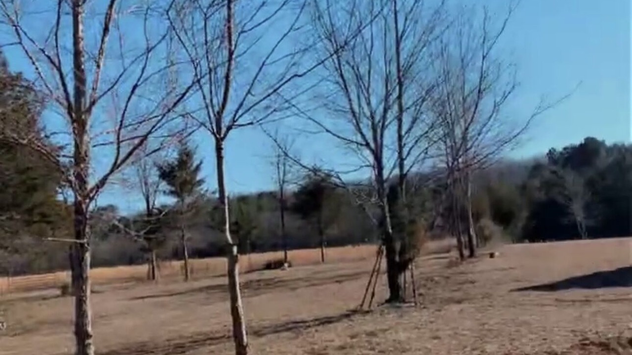 Photo of Others in Morrilton