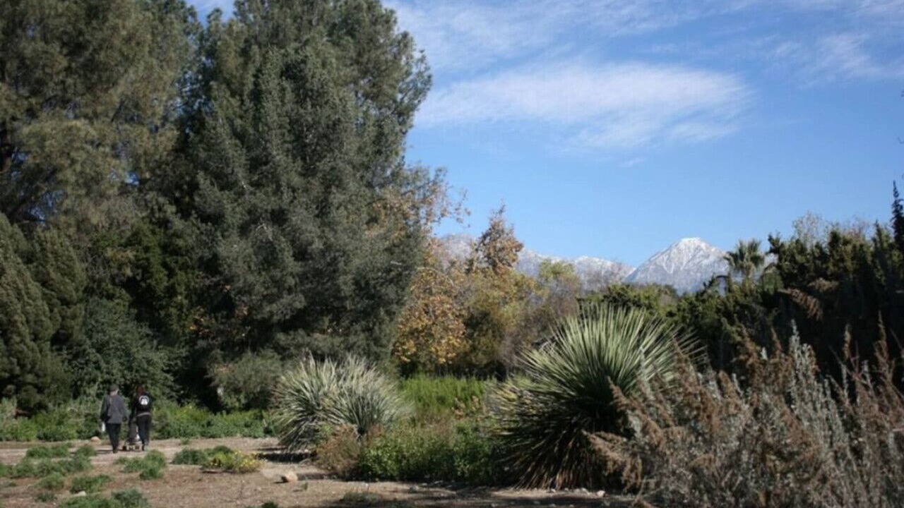 Photo of Outdoor in San Gabriel Valley