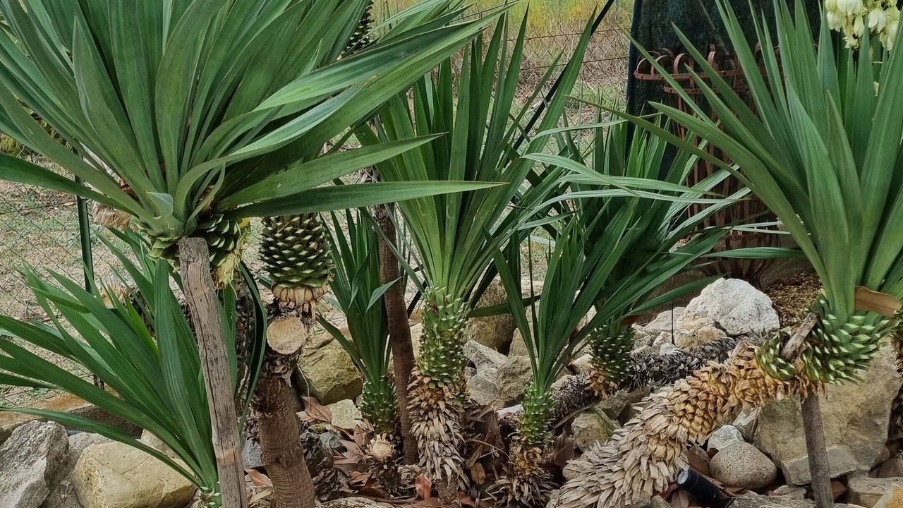 Photo of Outdoor in Brignon