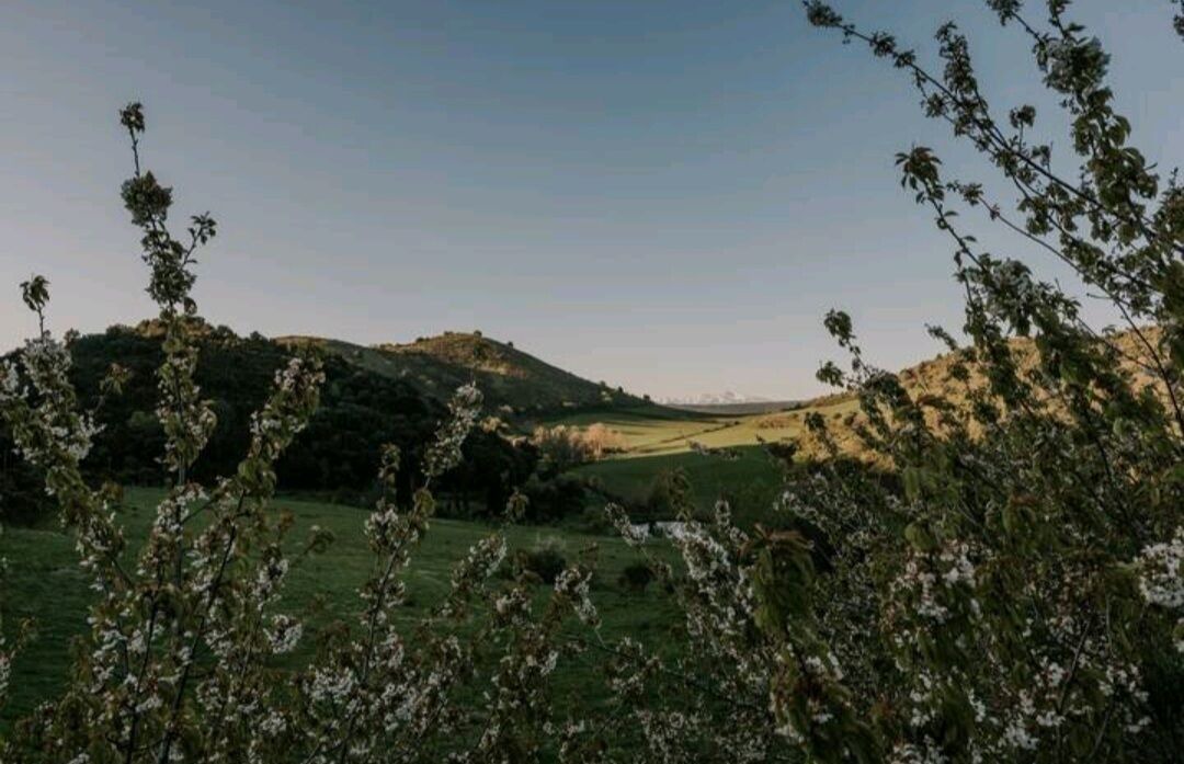 Photo of Others in Palairac