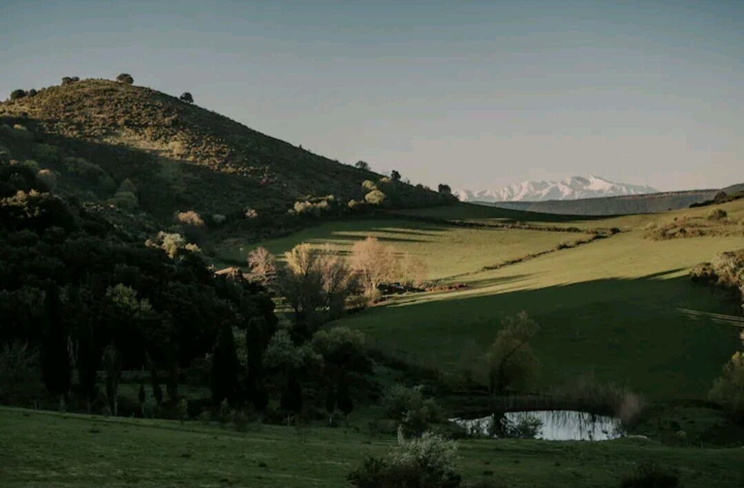 Photo of Others in Palairac