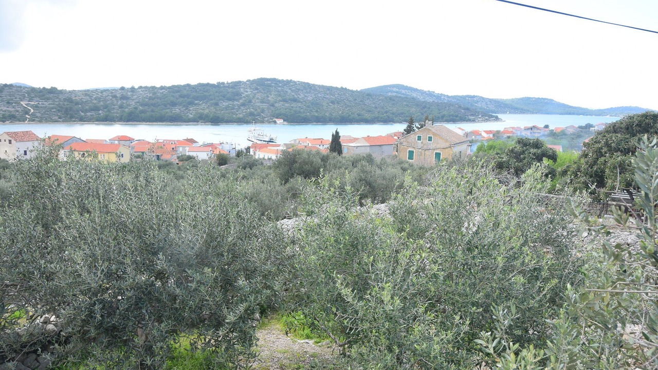 Photo of Others in Kaprije