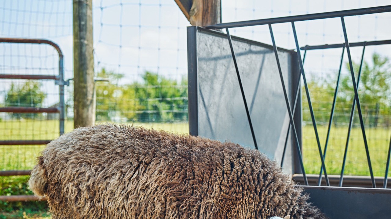 Photo of Others in Far Hills