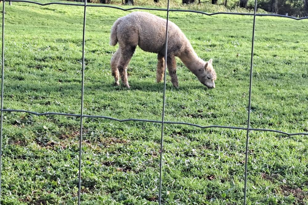 Photo of Outdoor in Auvers-le-Hamon