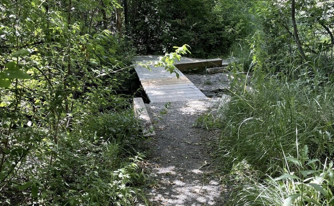 Photo of Outdoor in Greeley