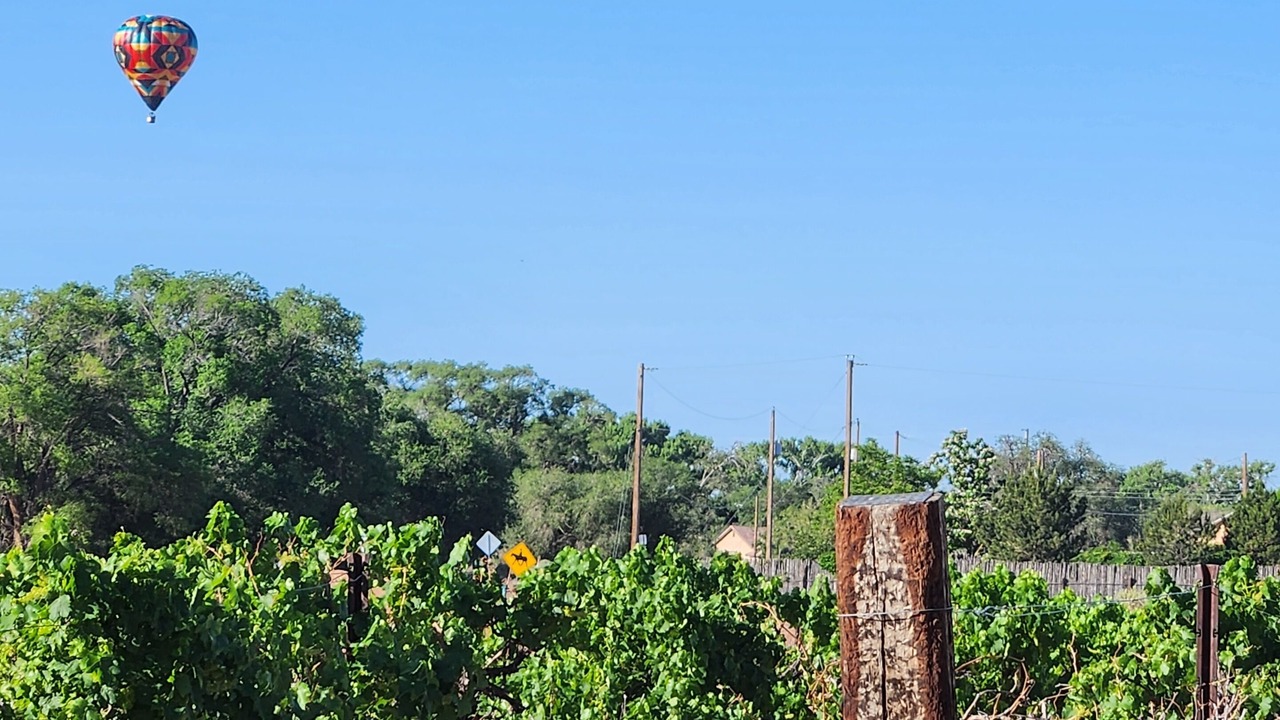 Photo of Outdoor in Corrales