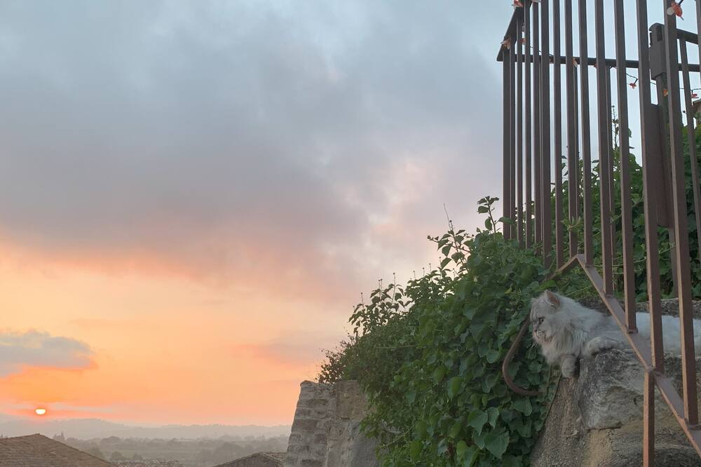 Photo of Others in Saint-Pons-de-Mauchiens