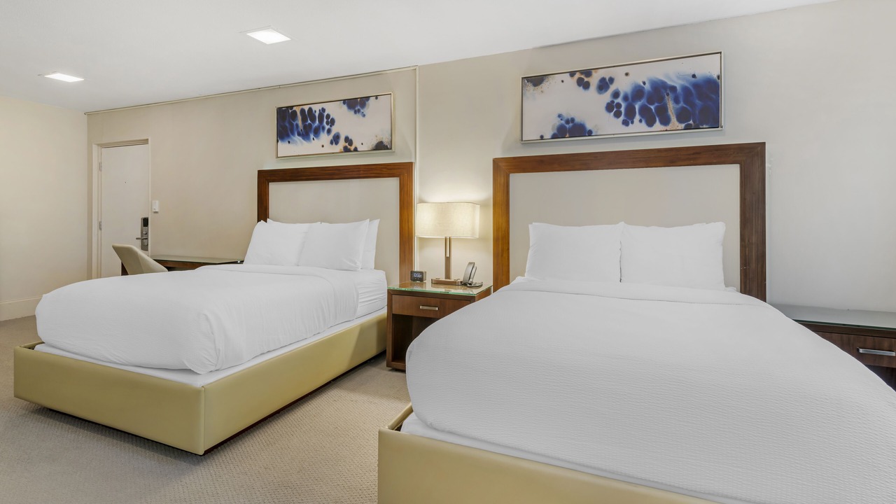 Photo of Others in Dover