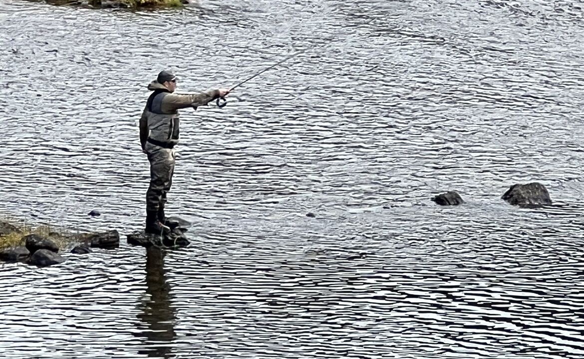 Photo of Others in Greenough