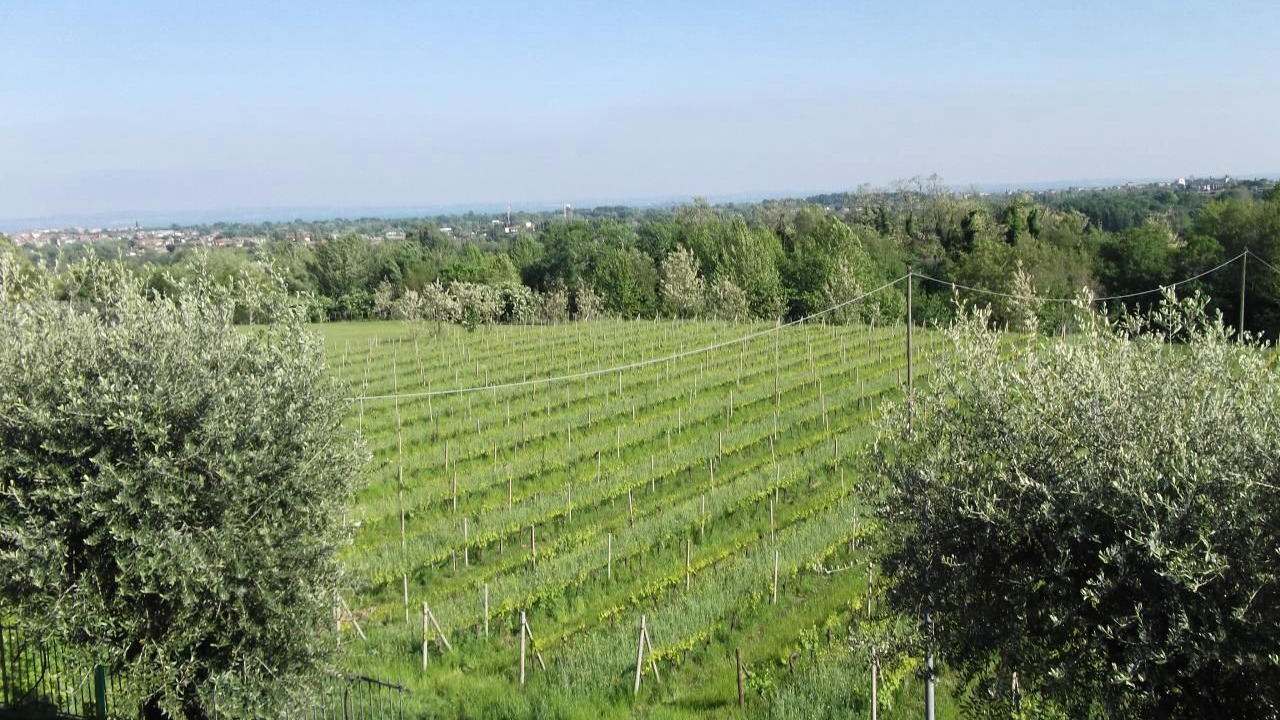 Photo of Others in Polpenazze del Garda