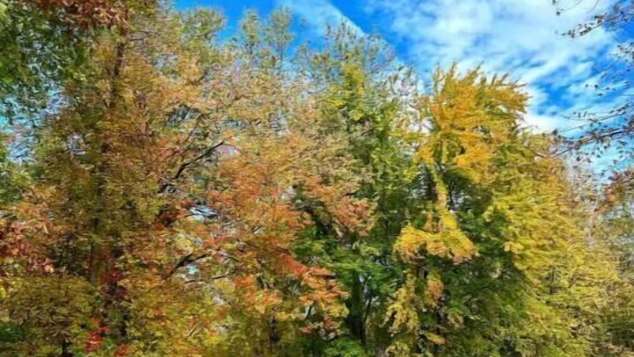 Photo of Outdoor in Mansfield-et-Pontefract