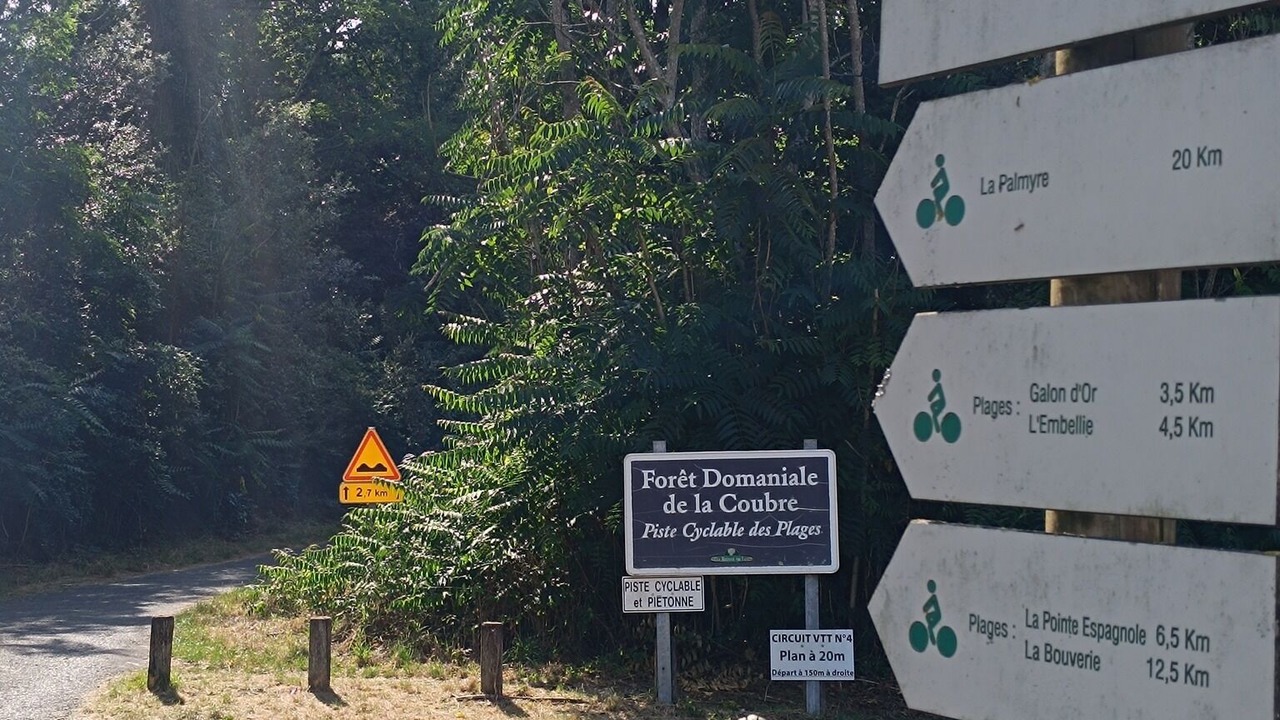 Photo of Outdoor in Arvert