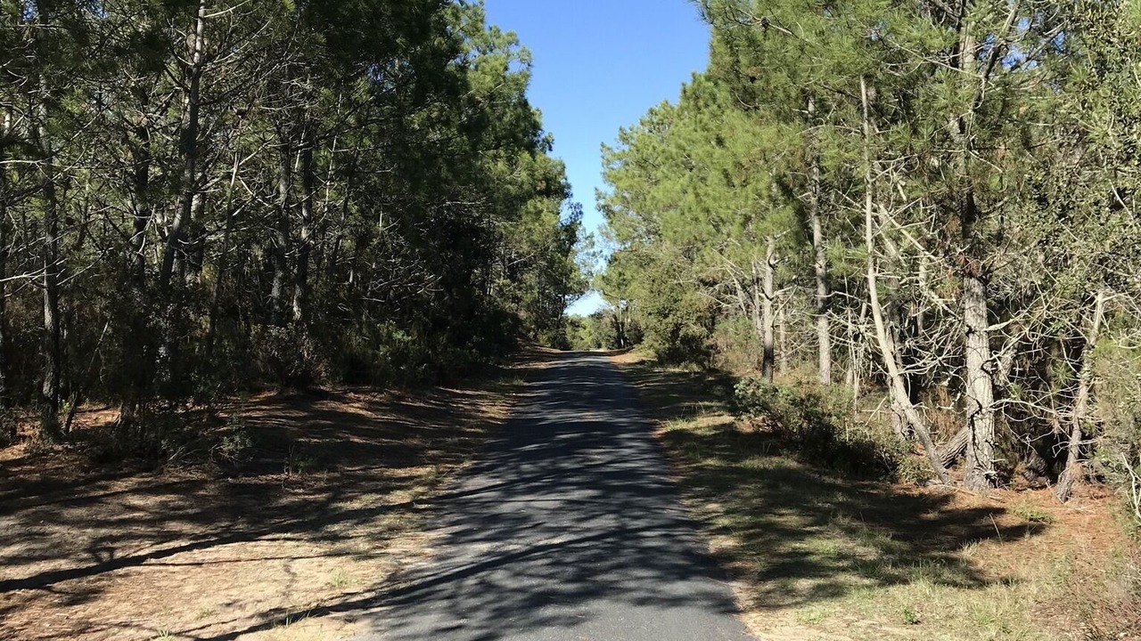 Photo of Outdoor in Arvert