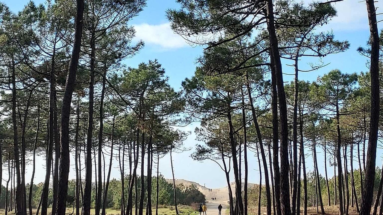 Photo of Others in Arvert