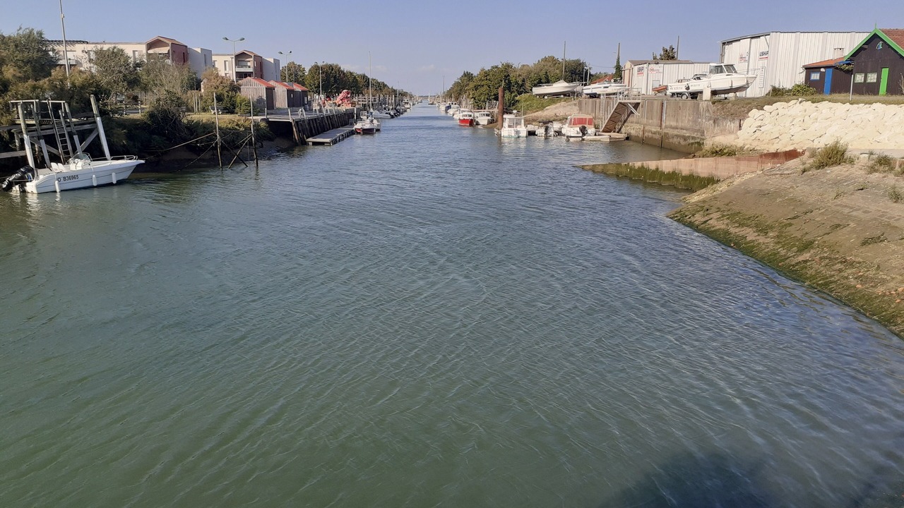 Photo of Others in Arvert