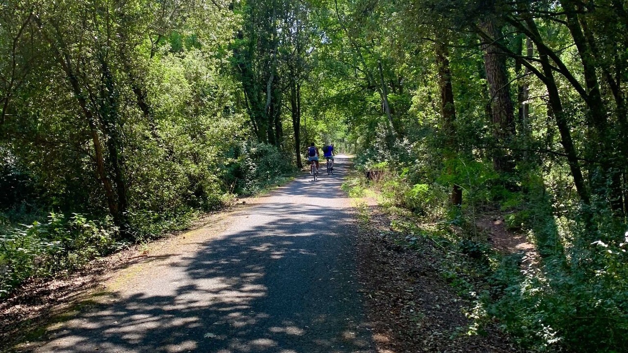 Photo of Outdoor in Arvert